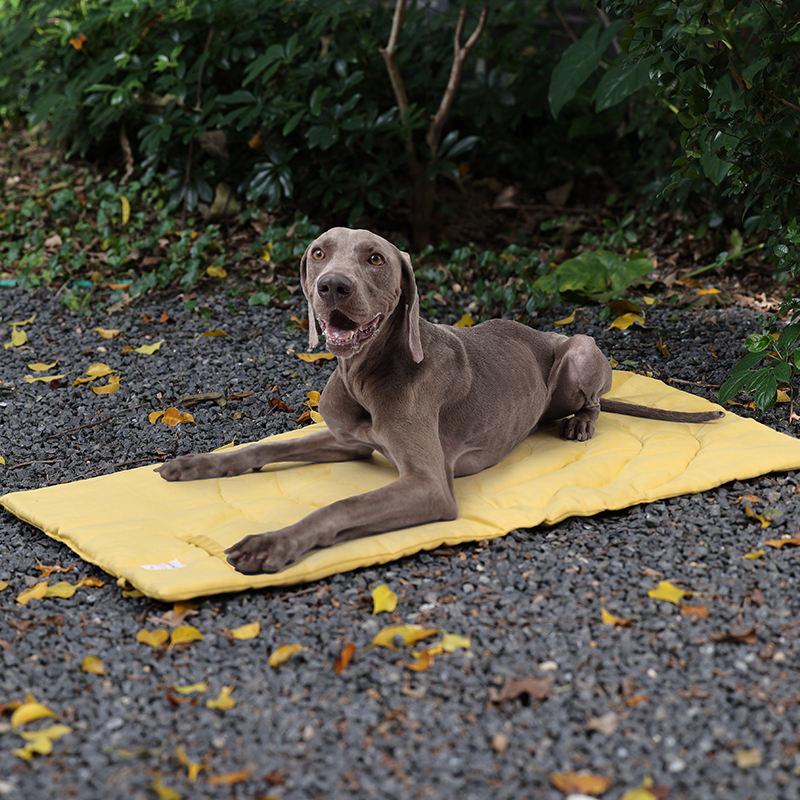 Portable Pet Mat Foldable Pet  - огляд і ціна Outdoor Camping Dog Bed